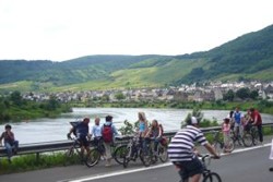 Fahradweg Moseltal
