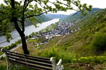 Blick auf St. Aldegund